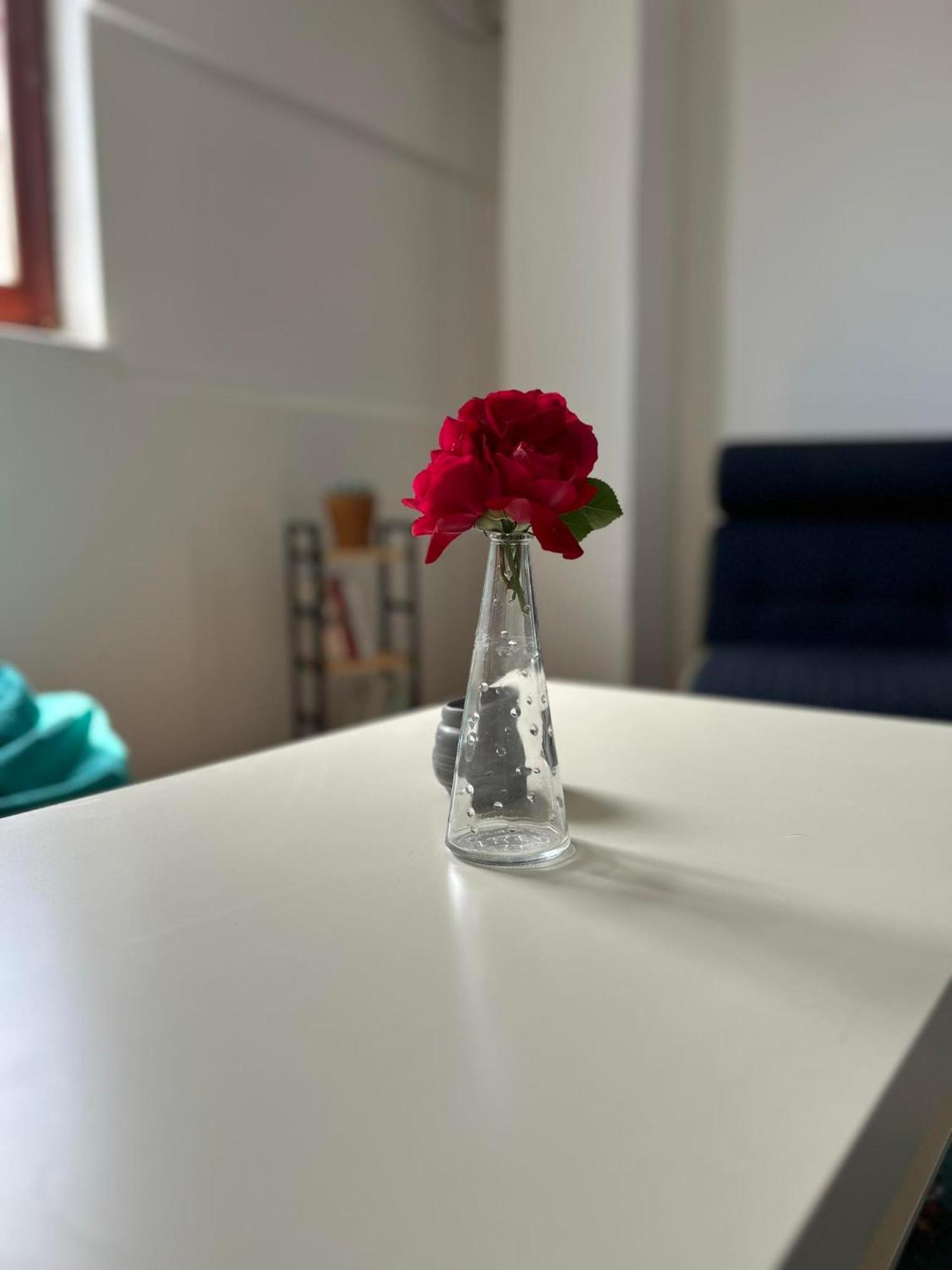 Sunset Terrace Apartment Ilinden Bagian luar foto